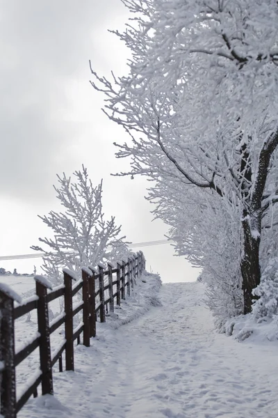 Zimowy krajobraz w polskich górach — Zdjęcie stockowe