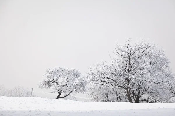 Winter landscape in polish mountains — Stock Photo, Image