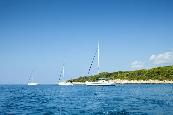 stock image Przina Korcula in Croatia