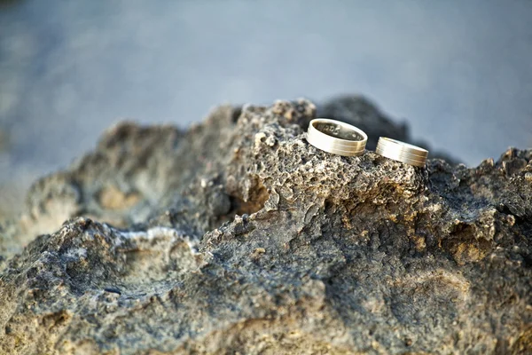 Wedding rings in nature — Stock Photo, Image