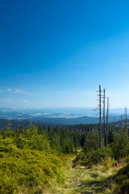 güzel beskidy dağ panorama