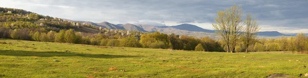Panorama Topesti en Rumania — Foto de Stock