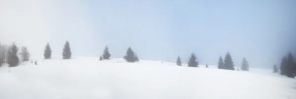 Snöiga skogen i polska bergen — Stockfoto