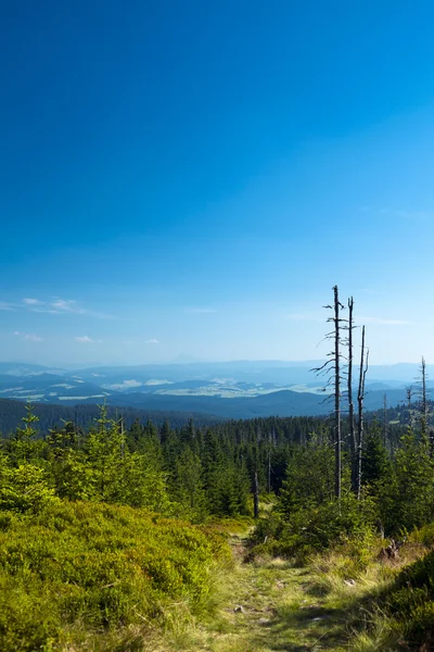Beautiful Beskidy mountain panorama — Stock Photo, Image