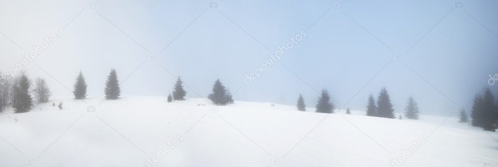 Snowy woods in polish mountains
