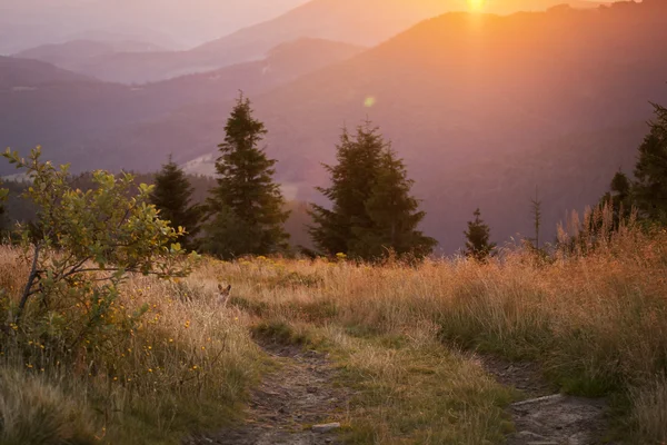 Beautiful sunrise in mountains — Stock Photo, Image