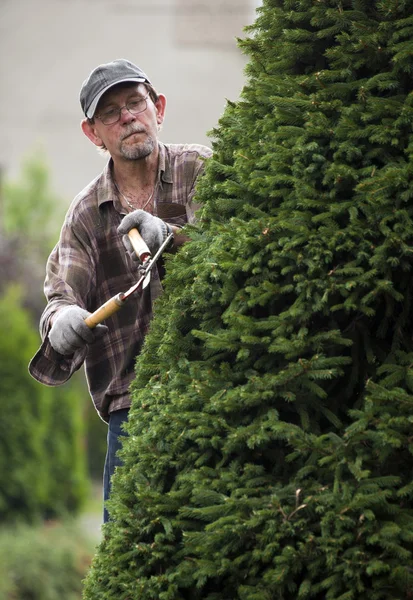 stock image Gardener during work