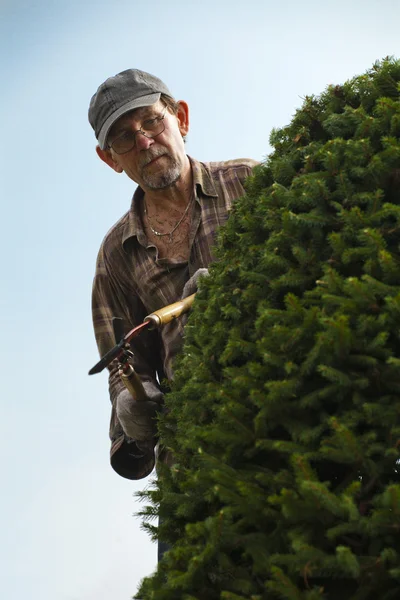 stock image Gardener during work