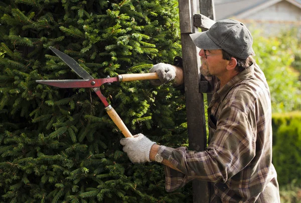 stock image Gardener during work