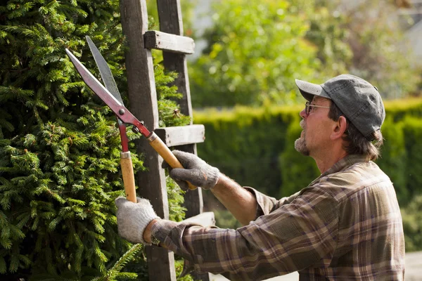 stock image Gardener during work