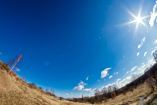 Sunny landscape — Stock Photo, Image
