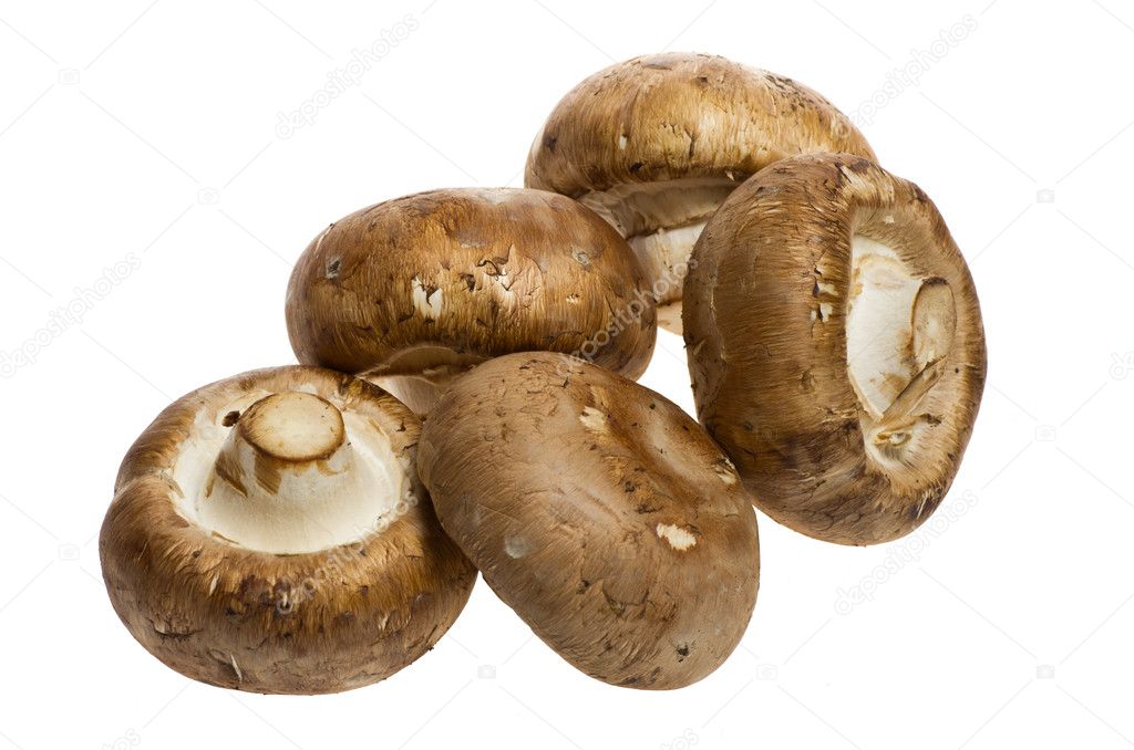 Portobello mushrooms isolated on white