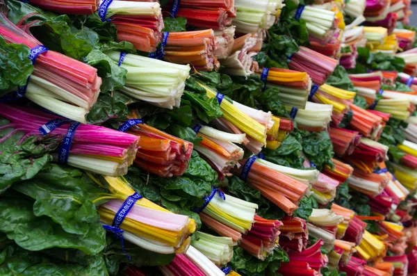Fresh colorful swiss chard — Stock Photo, Image