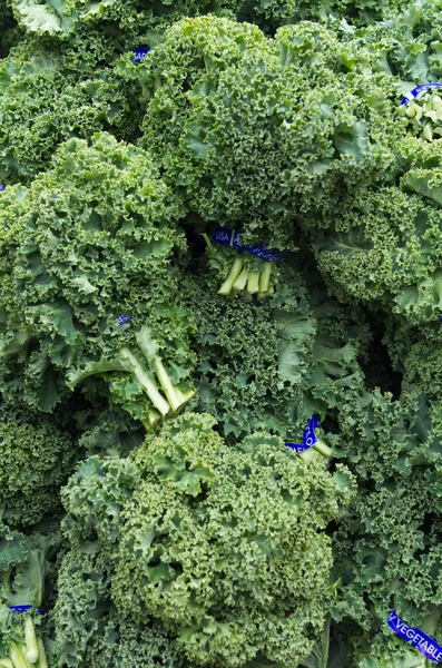 Curly kale on display at the market — Stock Photo, Image