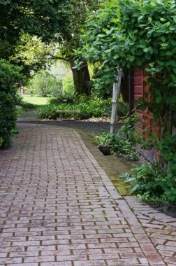 Paved garden path wit hshrubs clipart