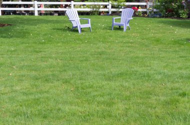 Green lawn with two purple chairs clipart