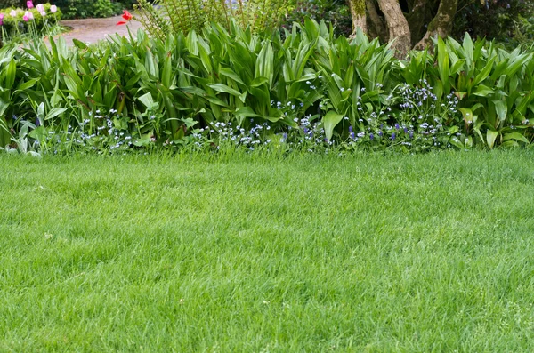 Green lawn with a flower bed border — Stock Photo, Image