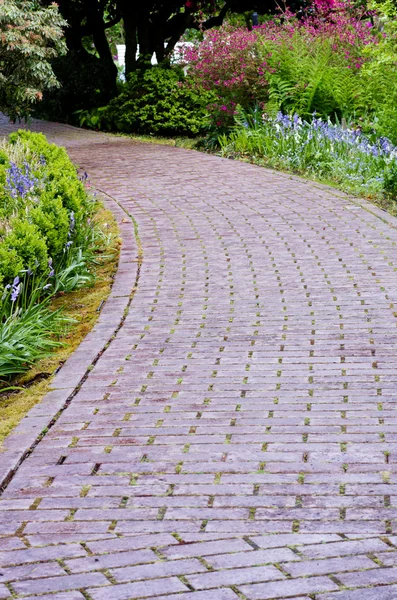 Garden path with flowers blooming — Stock Photo, Image