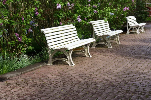 Three white garden benches on a paved pathway — Stock Photo, Image