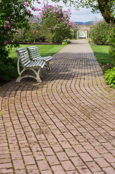 Garden path winding past white benches — Stock Photo, Image