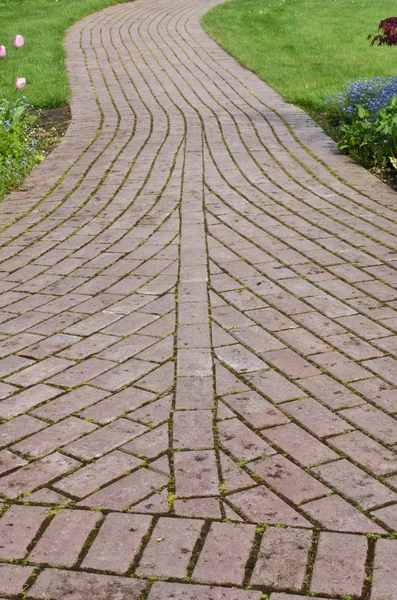 Winding paved garden pathway — Stock Photo, Image