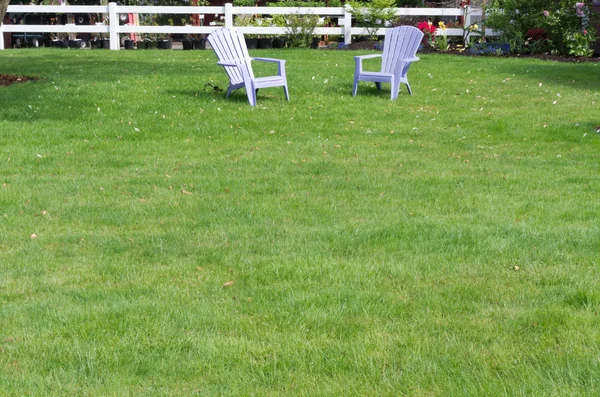 Green lawn with two purple chairs