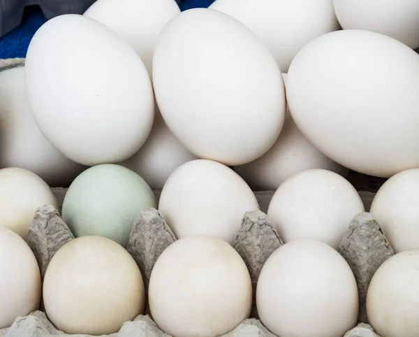 Organic kurczaka jaj różnych rozmiarach — Zdjęcie stockowe