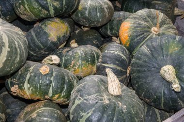 Winter or fall squash on display clipart