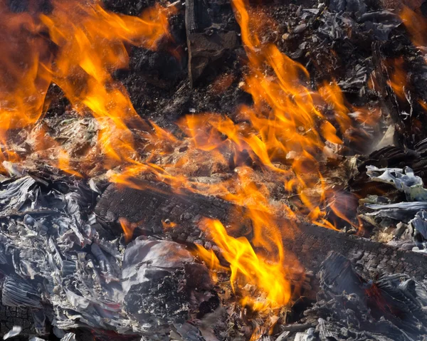 Lagerfeuer mit Baumstämmen brennen — Stockfoto