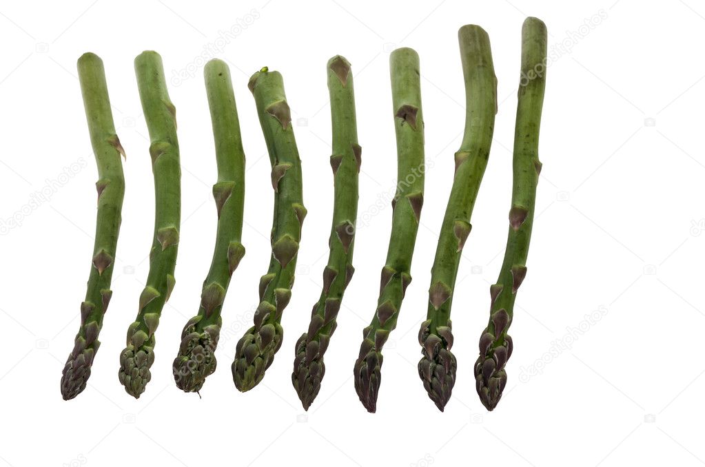 Asparagus spears in line