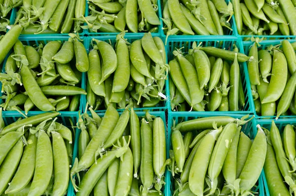 Peas in baskets on display — Stock Photo, Image