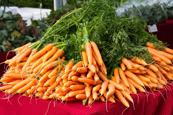 Морковь на выставке — стоковое фото