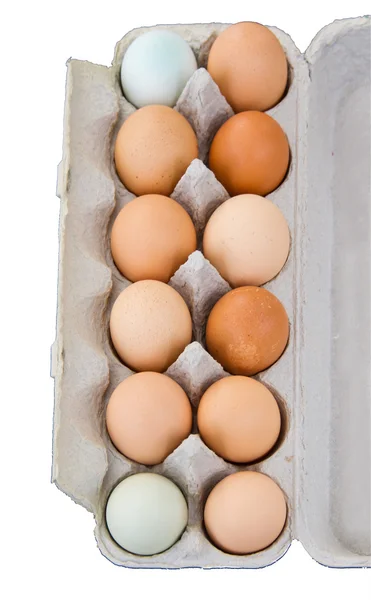 Bir düzine taze organik yumurta — Stok fotoğraf