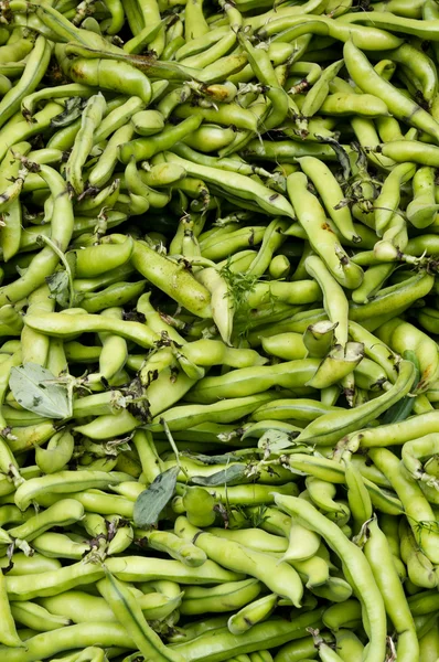 Fava beans op display — Stockfoto