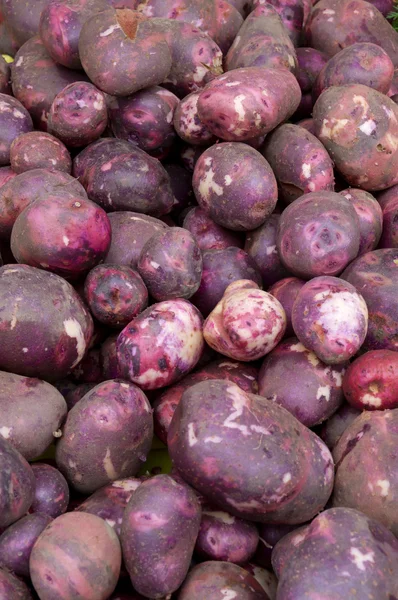 Rode aardappelen op display — Stockfoto