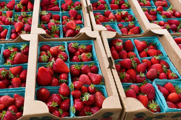 Strawberries in baskets on display — Stock Photo, Image
