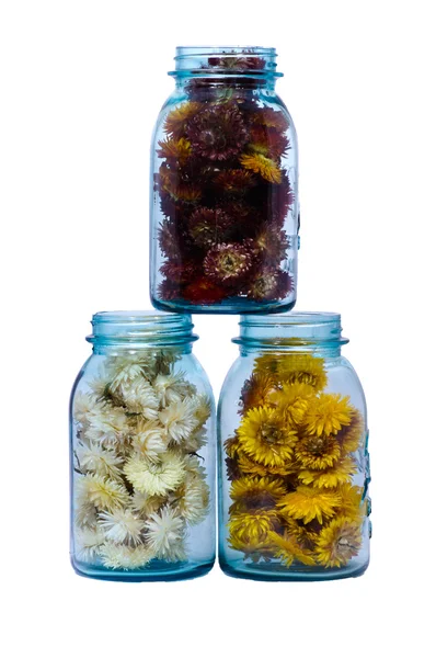 stock image Three blue canning jars with strawflowers