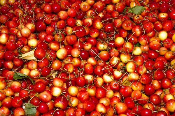 Fresh sweet cherries on display — Stock Photo, Image