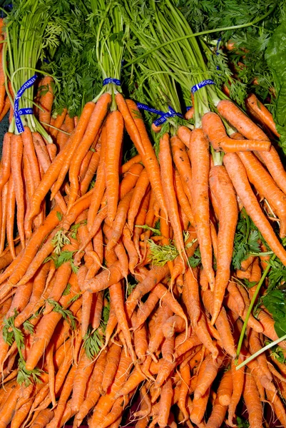 Морковь на выставке на рынке — стоковое фото