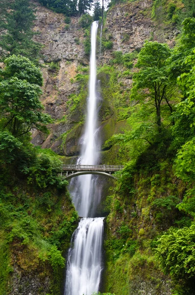 stock image Multnomah Falls