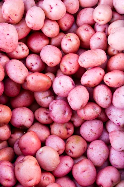 Red potatoes on display — Stock Photo, Image