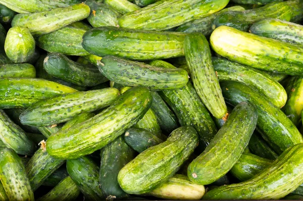 Pickles on display — Stock Photo, Image