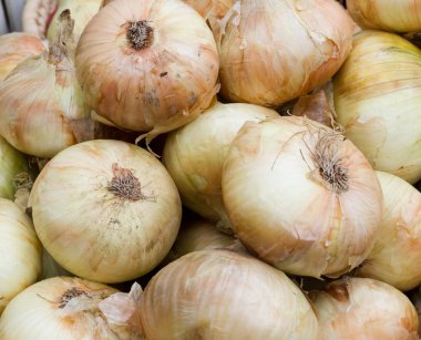 Onions at the farmer's market clipart