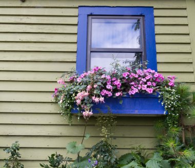 Window box with flowers clipart