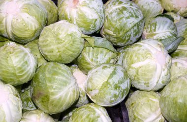 Farmer's Market ekranda yeşil lahana