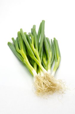 Green onions or scallions on white