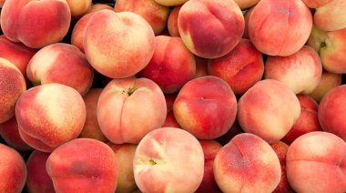 White peaches on display clipart