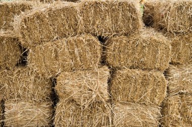 Hay bales stacked and drying clipart