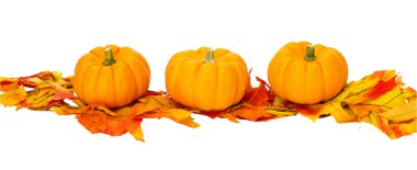 Fall or Thanksgiving or Halloween decoration isolated on white clipart