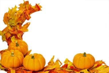 Fall or Thanksgiving or Halloween decoration isolated on white clipart